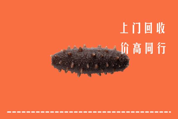 桂平市回收海参