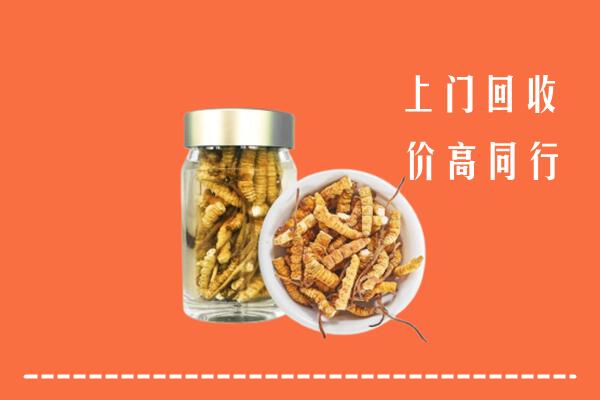 桂平市回收冬虫夏草