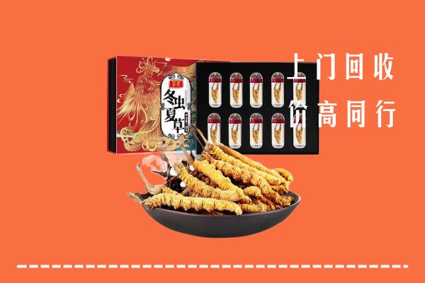 桂平市回收虫草